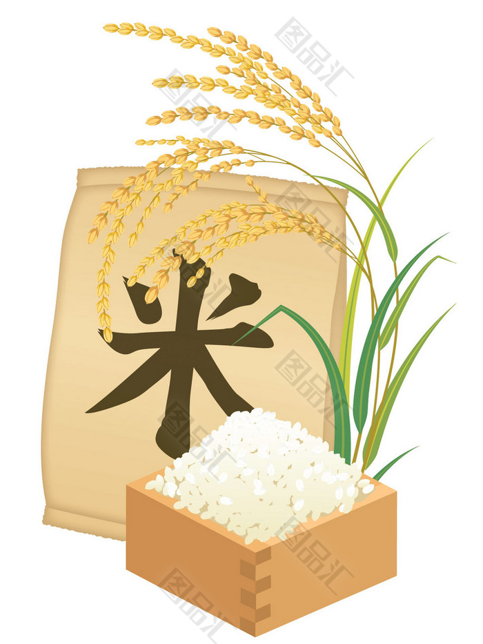 一粒大米的奇妙旅程 从稻谷到餐桌的艺术